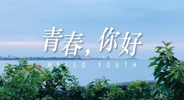 1681433948302822.png image.png